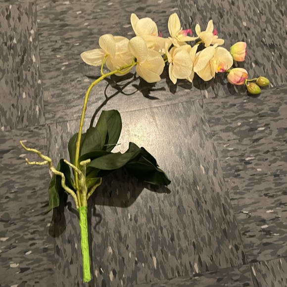 Faux Orchid - Picture 4 of 6